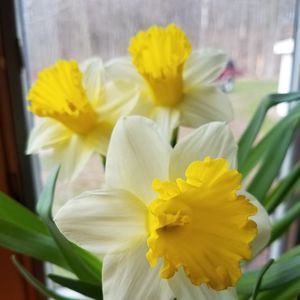 Meet your Posher, Kathryn